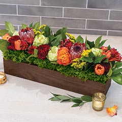 Autumn Jardin