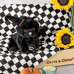 Winnie Witch Cat & Swaddle