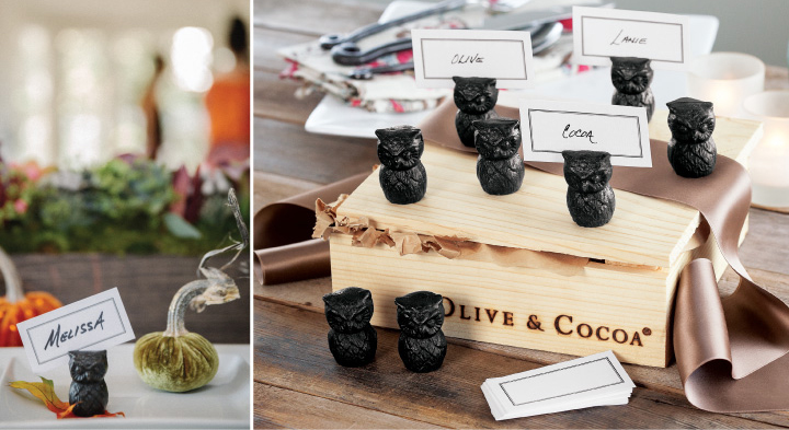 Wise Owl Place Card Holders