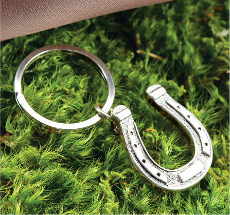 Lucky Horseshoe Key Ring