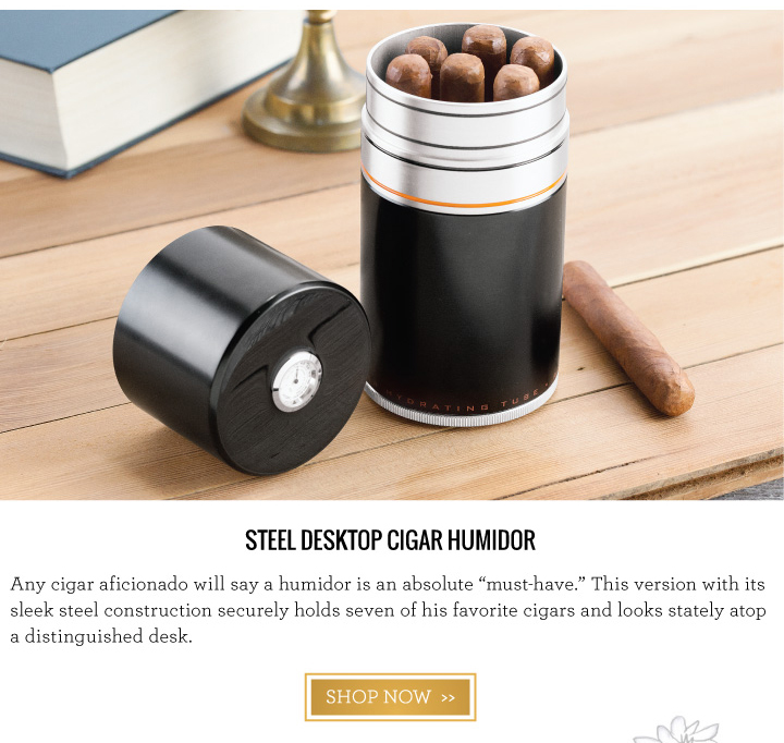 Steel Desktop Cigar Humidor