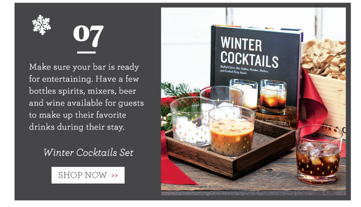 Winter Cocktails Set