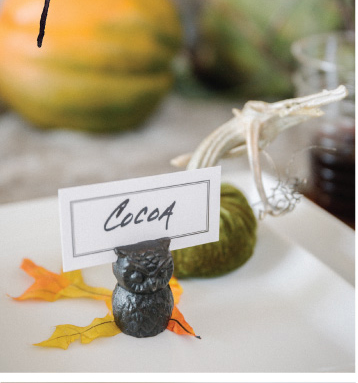 Wise Owl place card holders
