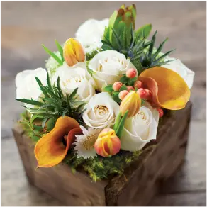 Fiore Bianco