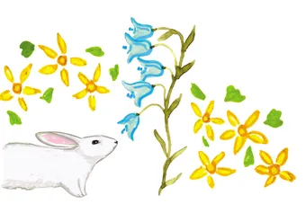 Olive & Cocoa Spring 2026 Catalog