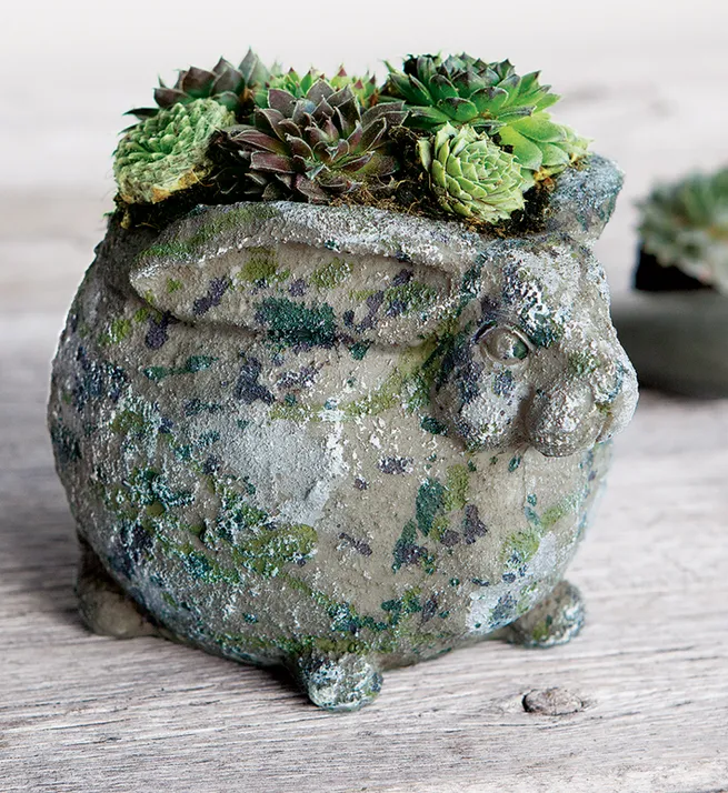 Succulent Bunny Planter