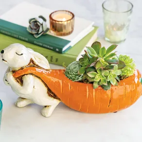 Big Carrot & Bunny Succulent