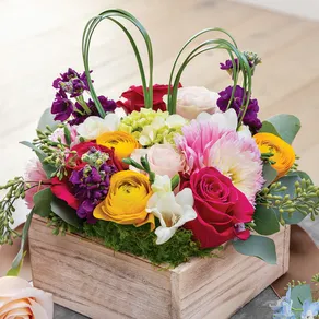 Bunny Ears Whitewash Fleur