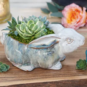 Farmstead Bunny Succulent