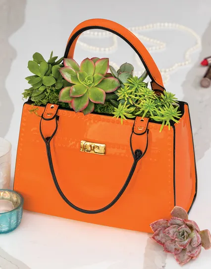 Ceramic Handbag Succulent