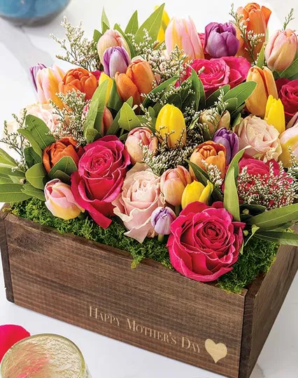 English Tulip Garden - Mother's Day Gifts