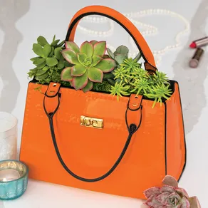 Ceramic Handbag Succulent