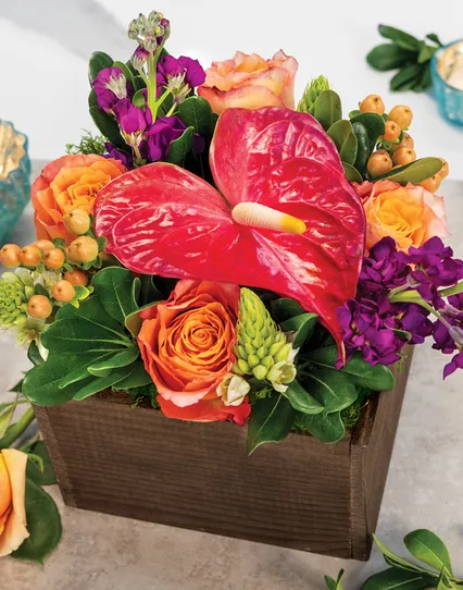 Keilani Floral Arrangement - New Arrivals