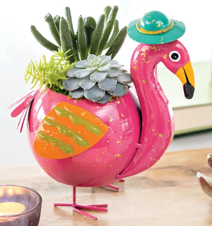 Adventure Flamingo Planter - Succulents