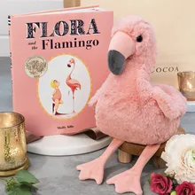 Pinky Flamingo & Storybook