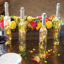 Twinkling Bottle Lights
