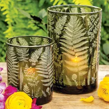 Emerald Fern Hurricanes
