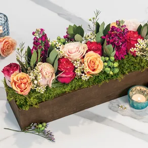 Summer Sorbet Trough