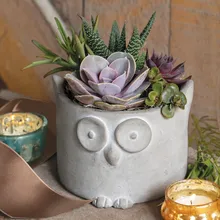 Hoot Owl Planter