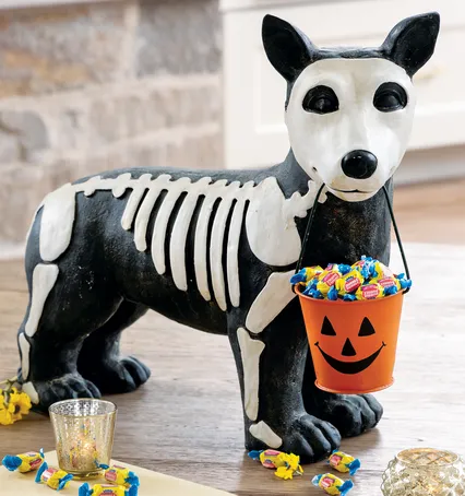 Trick-or-Treat Skeleton Hound