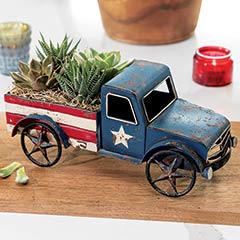 Patriotic Succulent Pickup