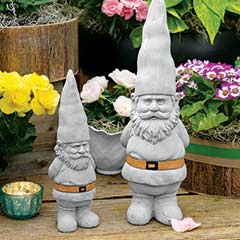 Charming Garden Gnomes