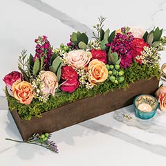 Summer Sorbet Trough