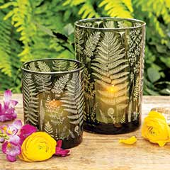 Emerald Fern Hurricanes