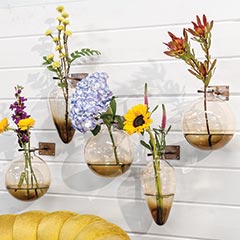 Blown Glass Wall Vases