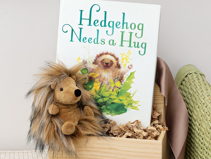 Huggable Hedgehog & Storybook