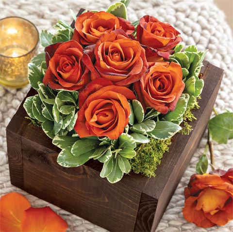Shop Floral Gifts Gifts