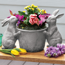 Blooming Bunny Planter