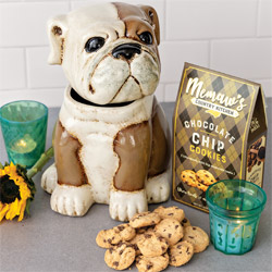 Bulldog Cookie Jar & Cookies