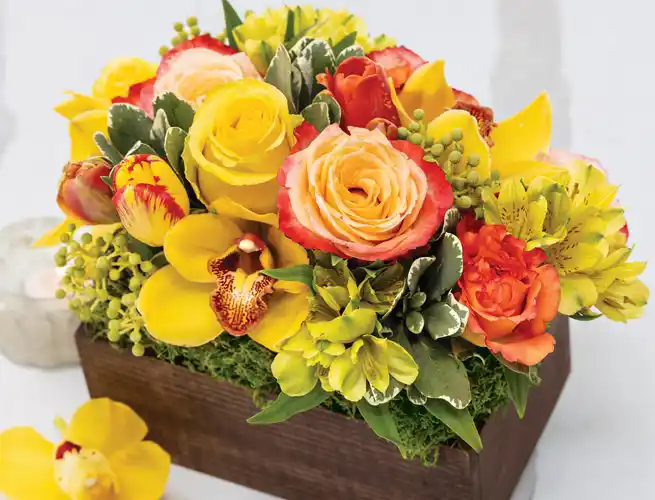 SHOP Floral Gifts