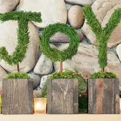 Joy Topiary Trio