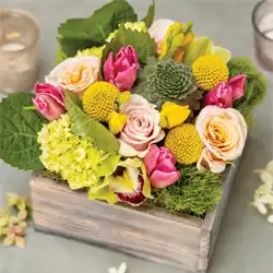 Fresh White Washed Harmony Fleur
