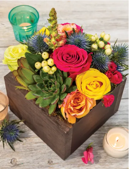 Shop New Gifts