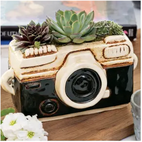 Shutterbug Succulent Planter