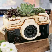 Shutterbug Succulent Planter