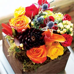 Farmhouse Fleur