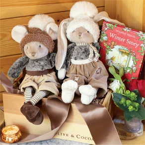 Furry Winter Pals & Storybook 