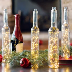 Twinkling Bottle Lights