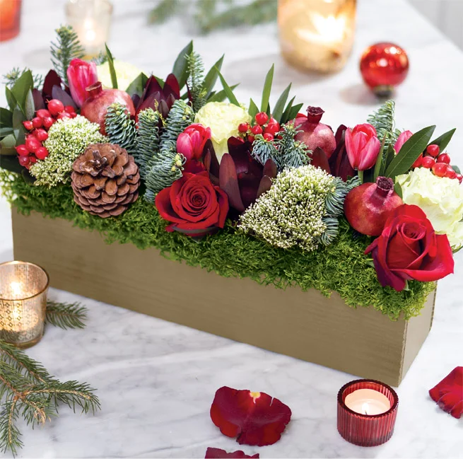 New Arrivals for the Holidays