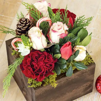 Shop Christmas Gifts