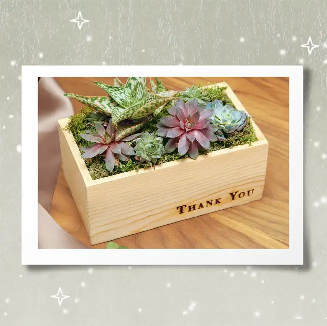 Grazie, Merci, Gracias