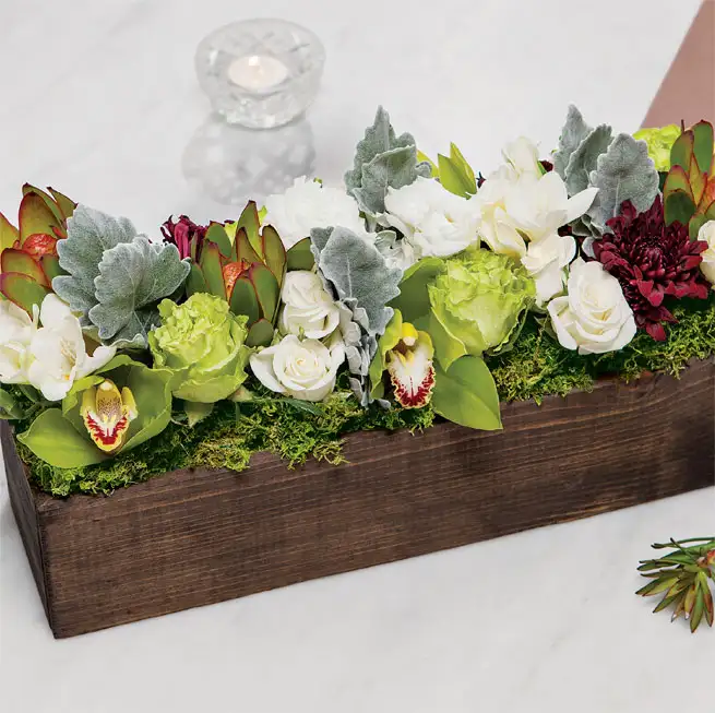 Grazie, Merci, Gracias