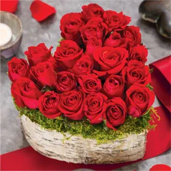 Birch Heart Roses