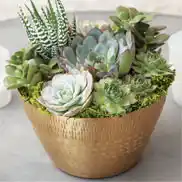 Patterned Gilt Succulent