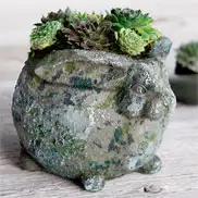 Succulent Bunny