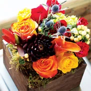 Farmhouse Fleur